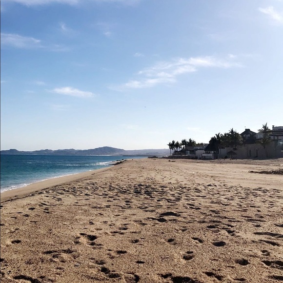 Meet your Posher, Abbey - Picture 1 of 1